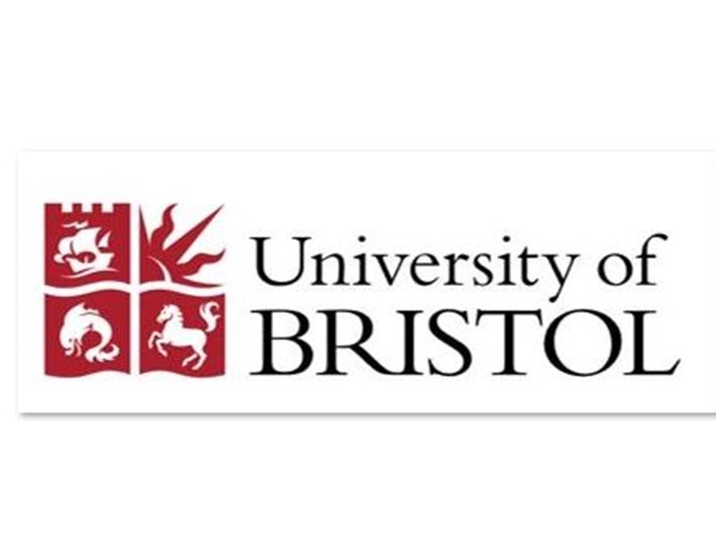 School vaping (and other nicotine) research - Bristol